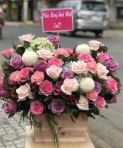 Combo hội nghị